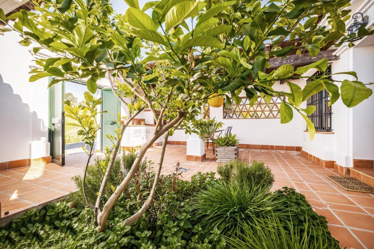 Casa Maurus By Rosas Cantares بيزارا المظهر الخارجي الصورة